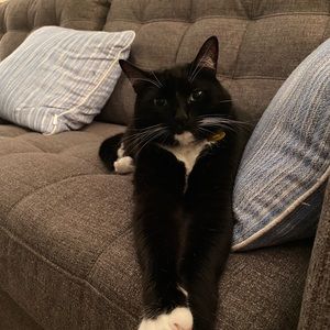 Meet your Posher, Nicole